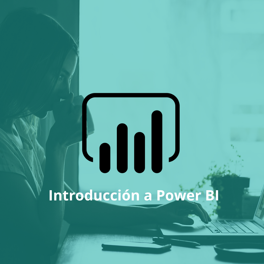 Introducción al POWER BI (2403)